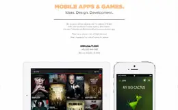 PETER BAJTALA移动应用程序与游戏设计