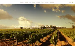 Contini传统与现代的葡萄酒超过一百年