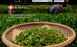 中国工匠茶有机茶