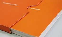 Sibirenergo品牌vi设计欣赏