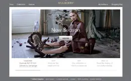 Mulberry皮革箱包，配件，女装